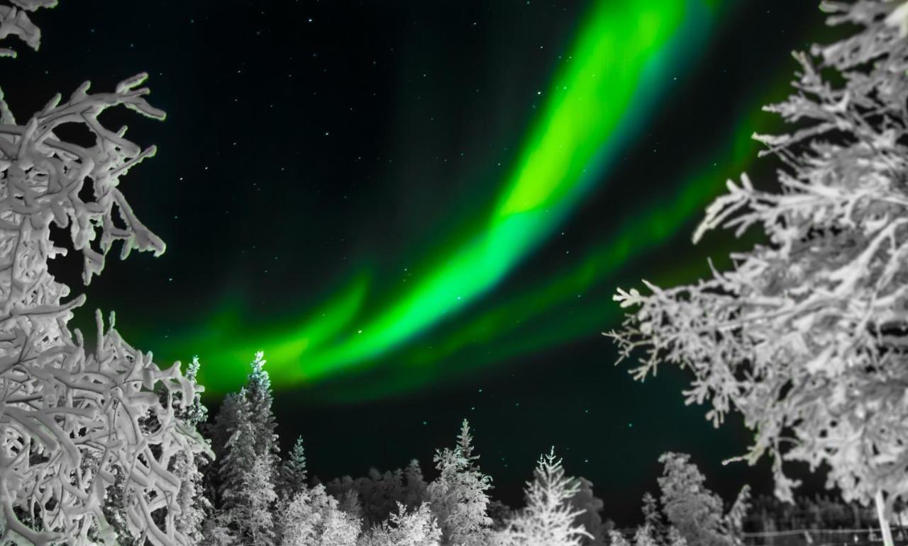 Hostit Cozy Apartments Rovaniemi Bagian luar foto